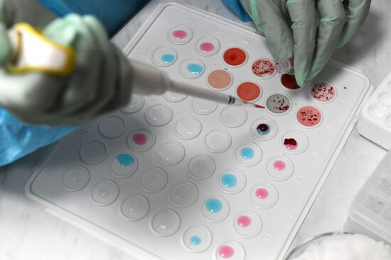 Новосибирский клинический центр крови