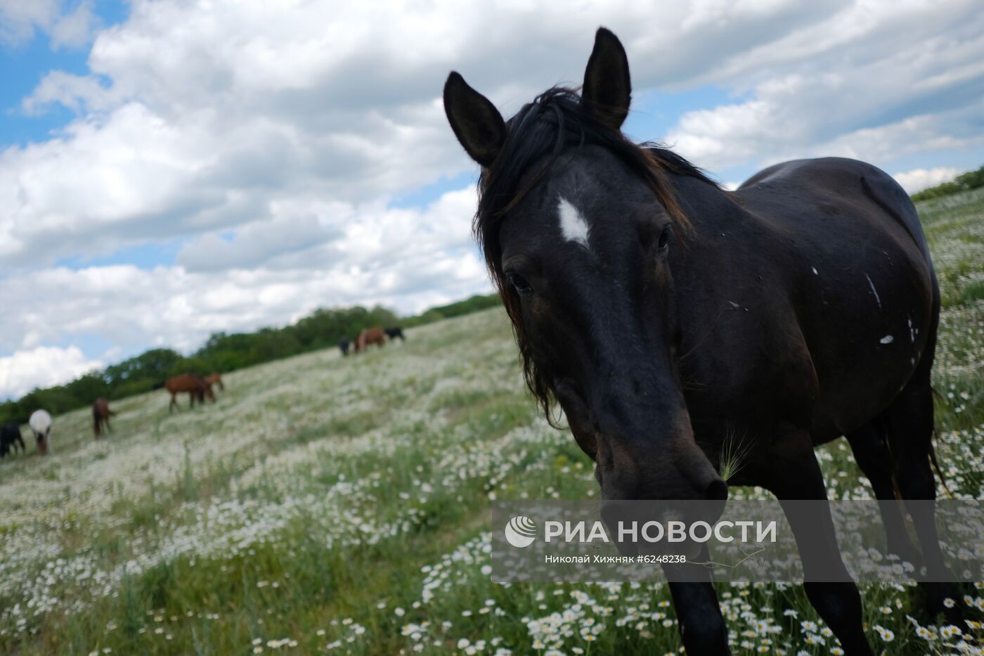 Регионы России. Краснодарский край