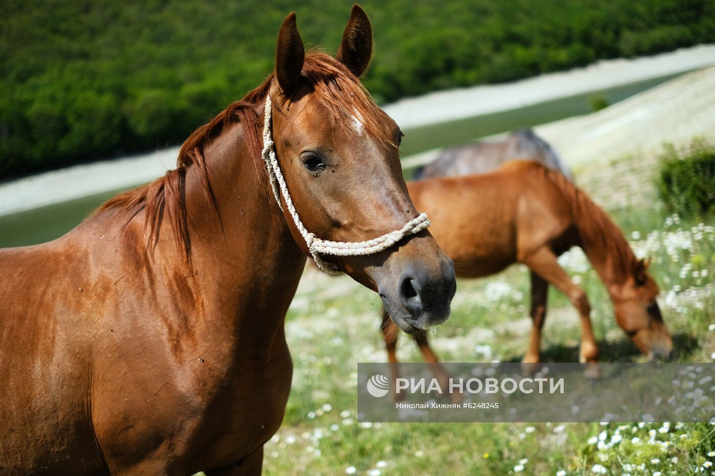 Регионы России. Краснодарский край