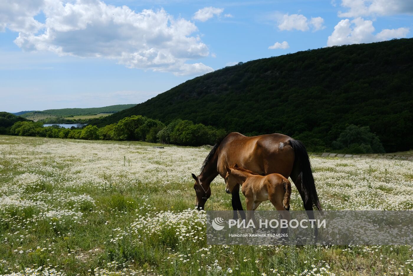 Регионы России. Краснодарский край