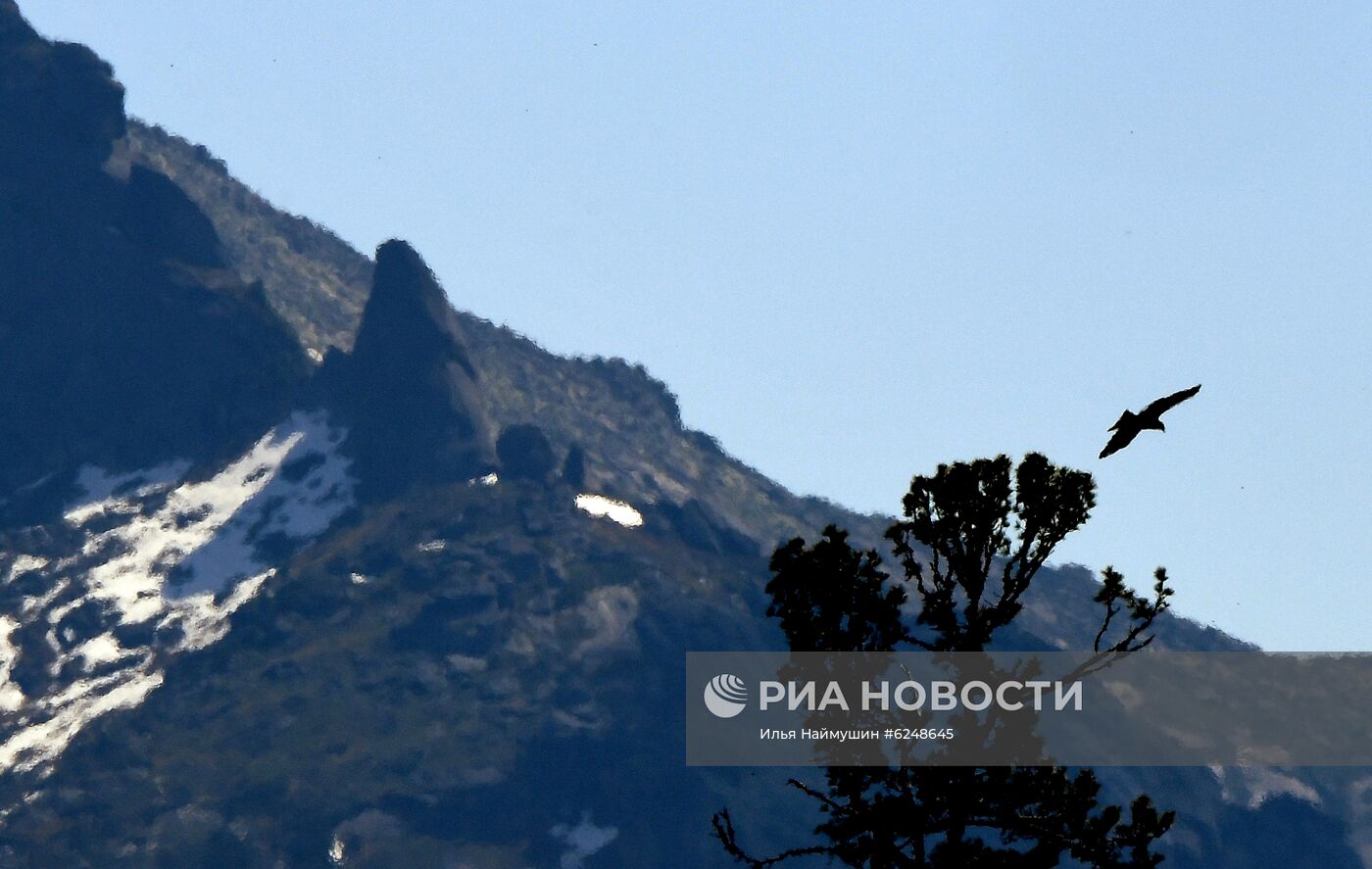 Регионы России. Красноярский край