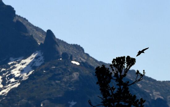 Регионы России. Красноярский край