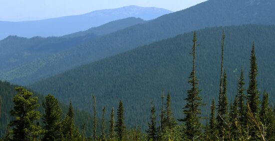 Регионы России. Красноярский край