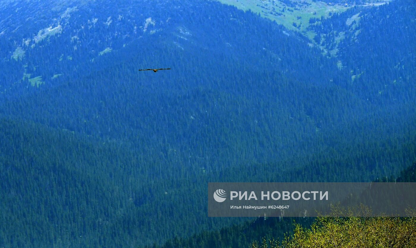 Регионы России. Красноярский край