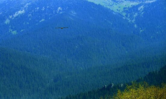 Регионы России. Красноярский край