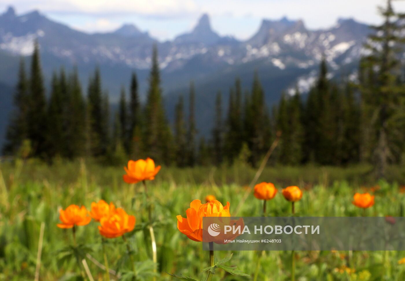 Регионы России. Красноярский край