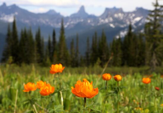 Регионы России. Красноярский край