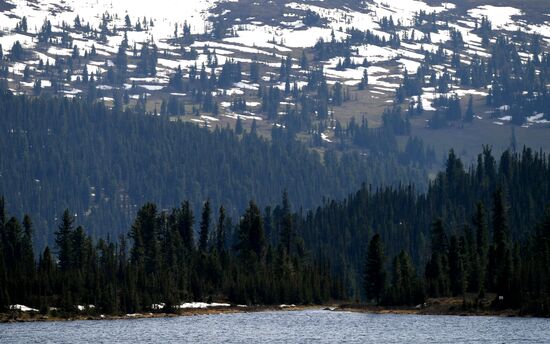 Регионы России. Красноярский край