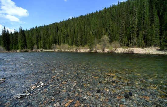Регионы России. Красноярский край