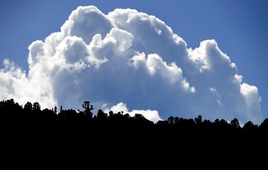 Регионы России. Красноярский край