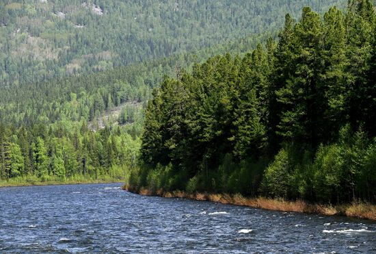 Регионы России. Красноярский край