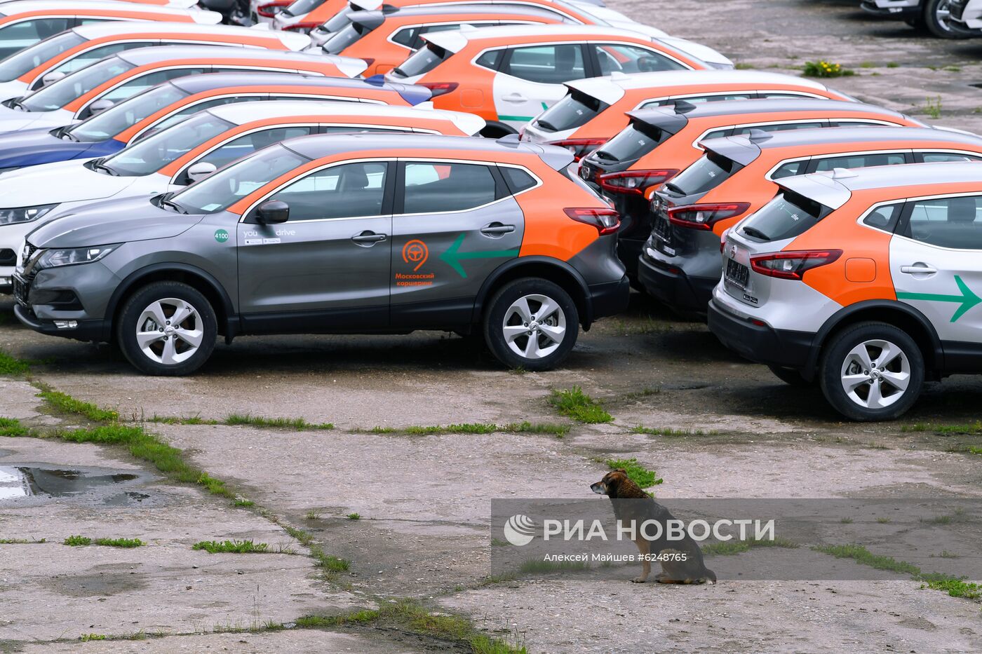 Сервисы каршеринга частично возобновят работу в Москве с 25 мая