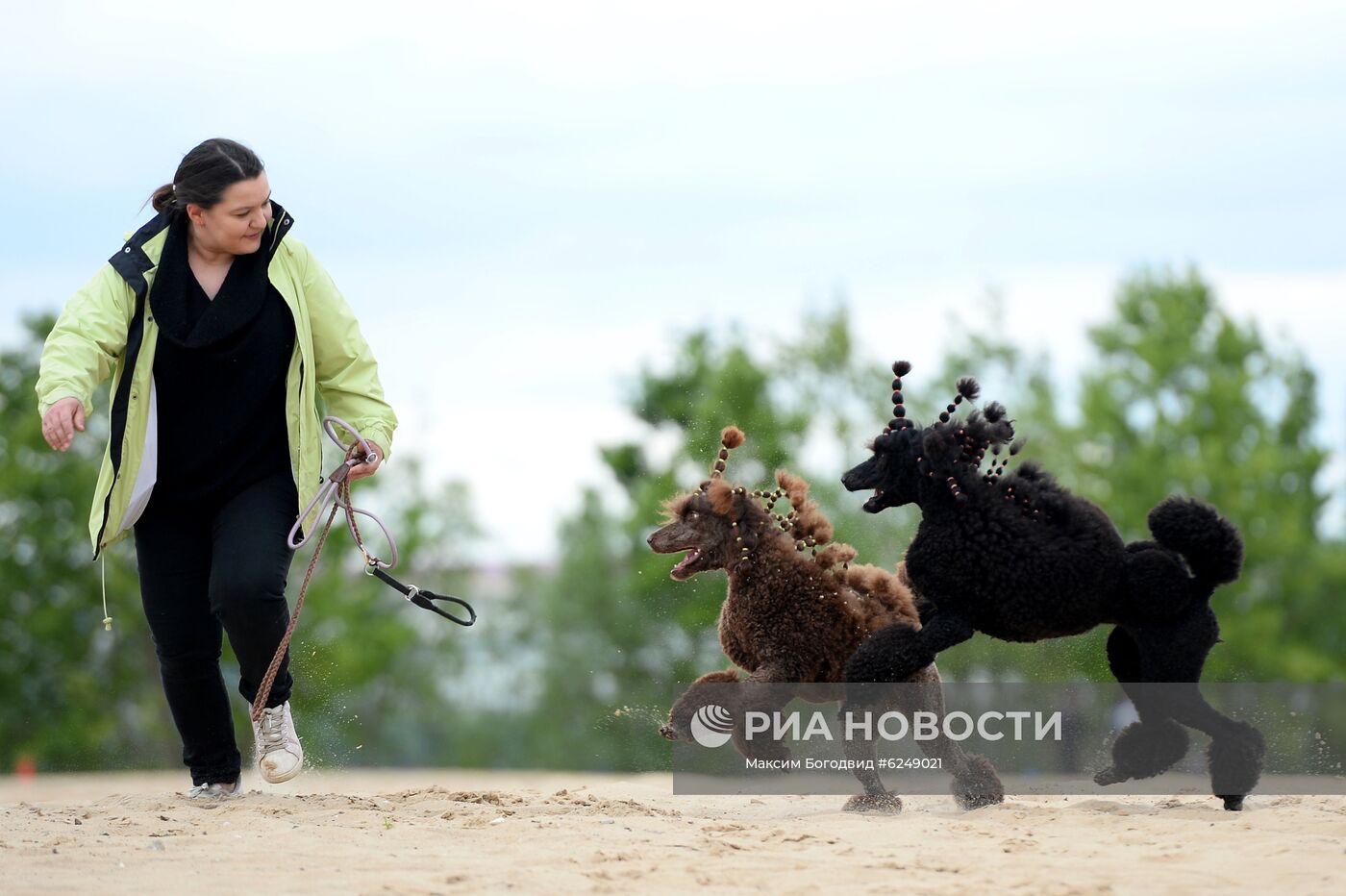 Тренировка собак охотничьих пород