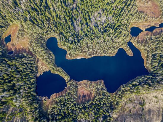 Регионы России. Карелия