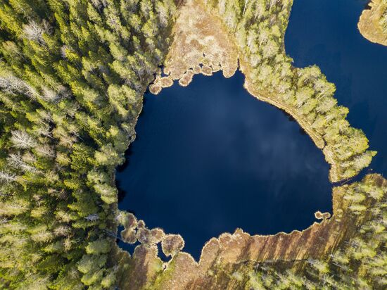 Регионы России. Карелия