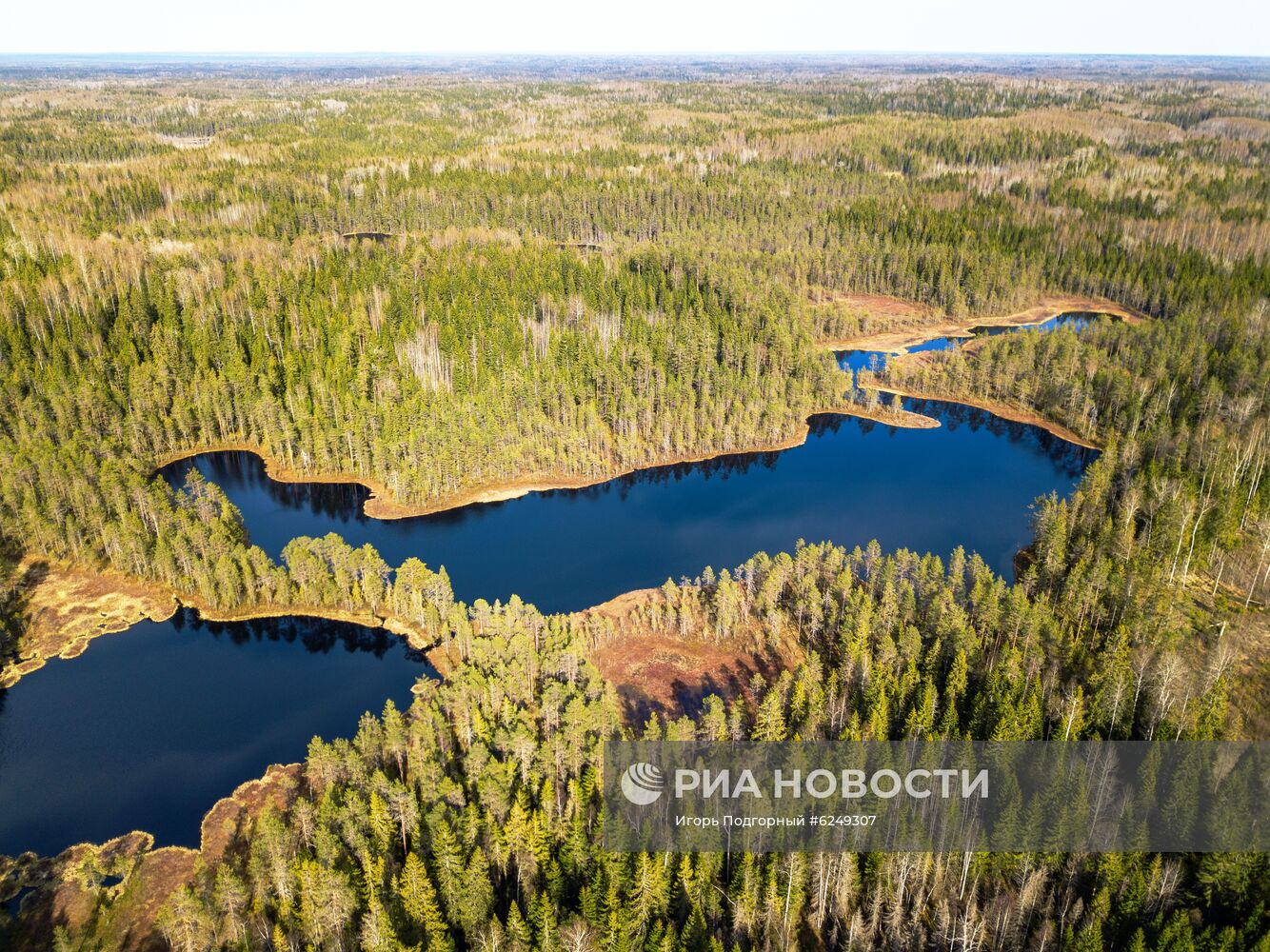 Регионы России. Карелия