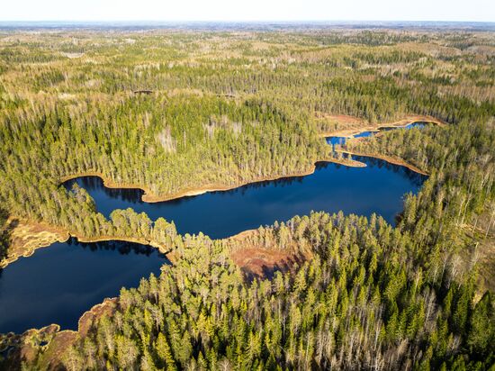 Регионы России. Карелия