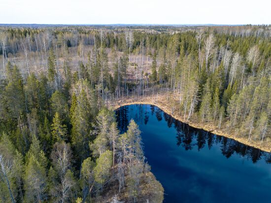 Регионы России. Карелия