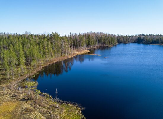 Регионы России. Карелия