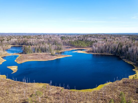 Регионы России. Карелия