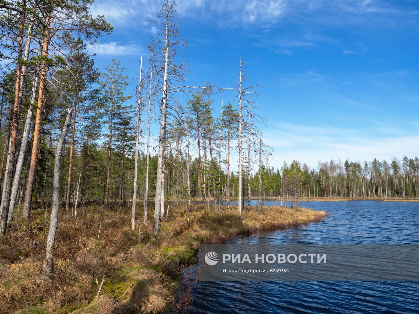 Регионы России. Карелия