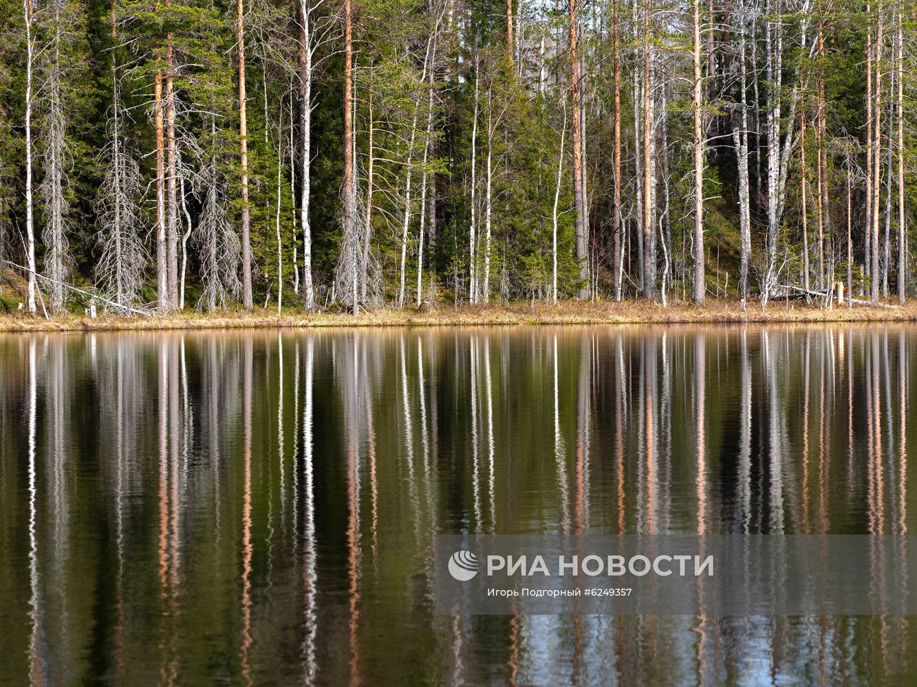 Регионы России. Карелия