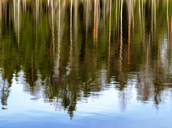 Регионы России. Карелия