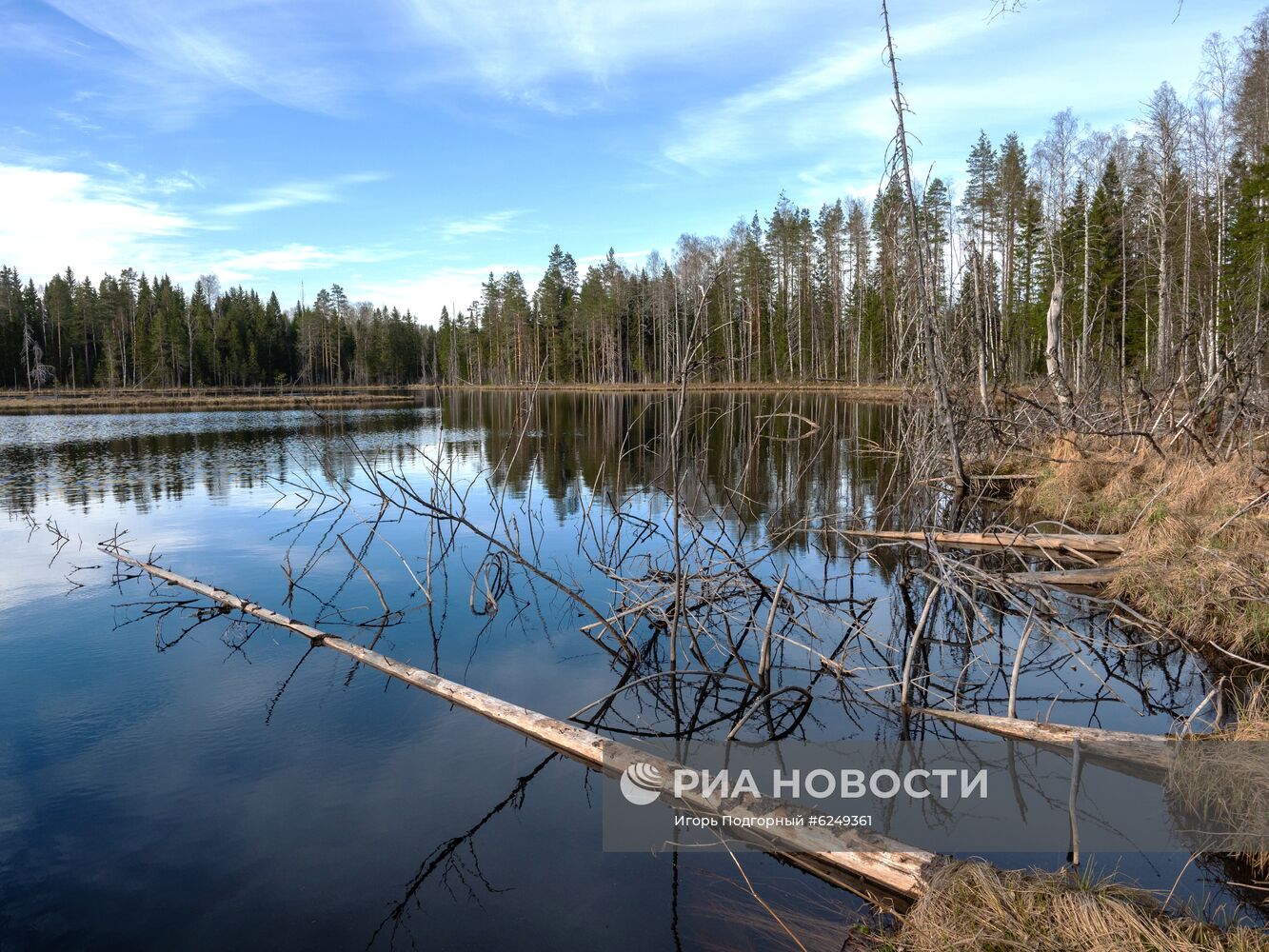 Регионы России. Карелия