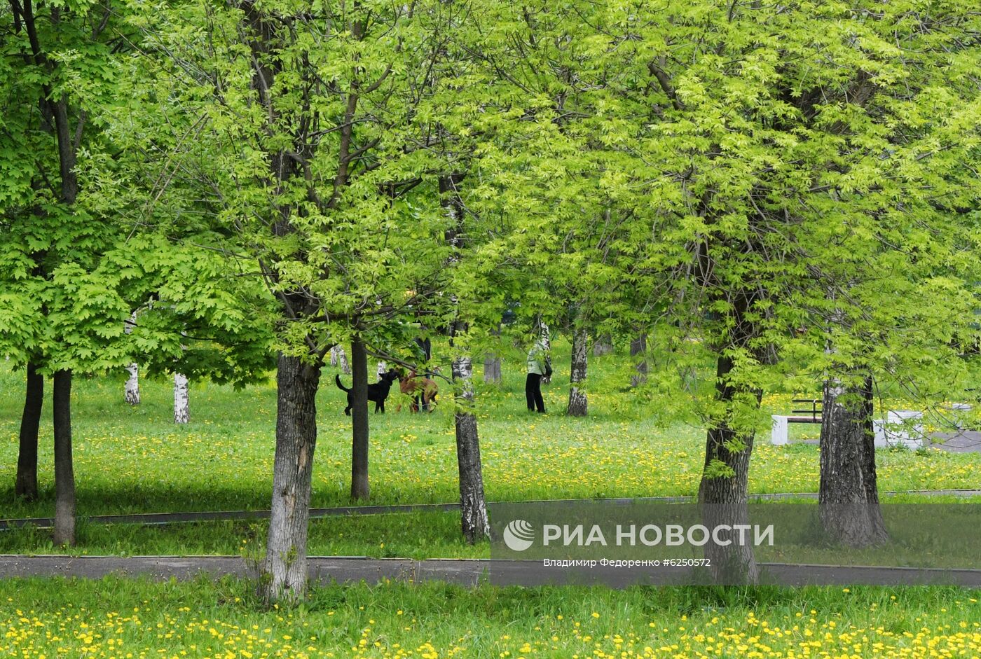 Москва во время режима самоизоляции жителей