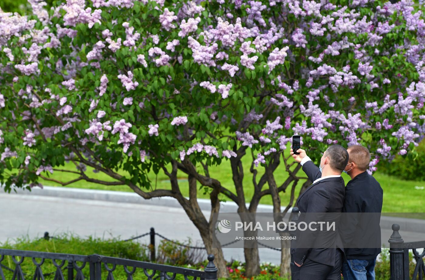 Москва во время режима самоизоляции жителей