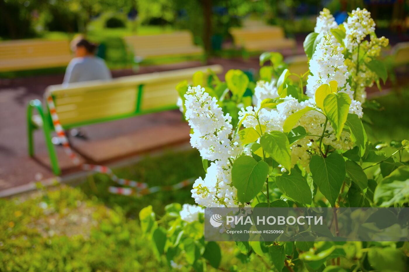 Москва в режиме самоизоляции жителей