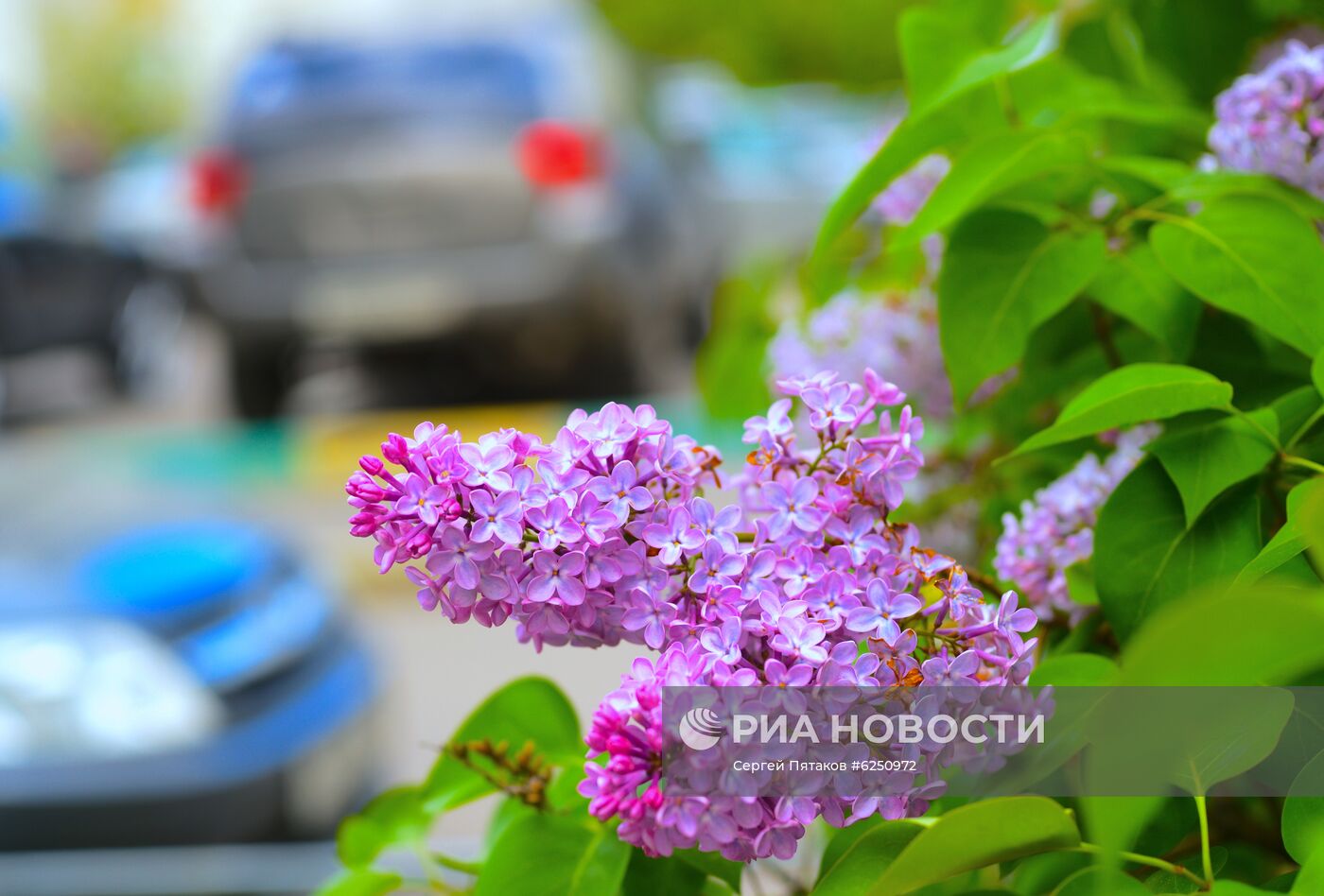 Москва во время режима самоизоляции