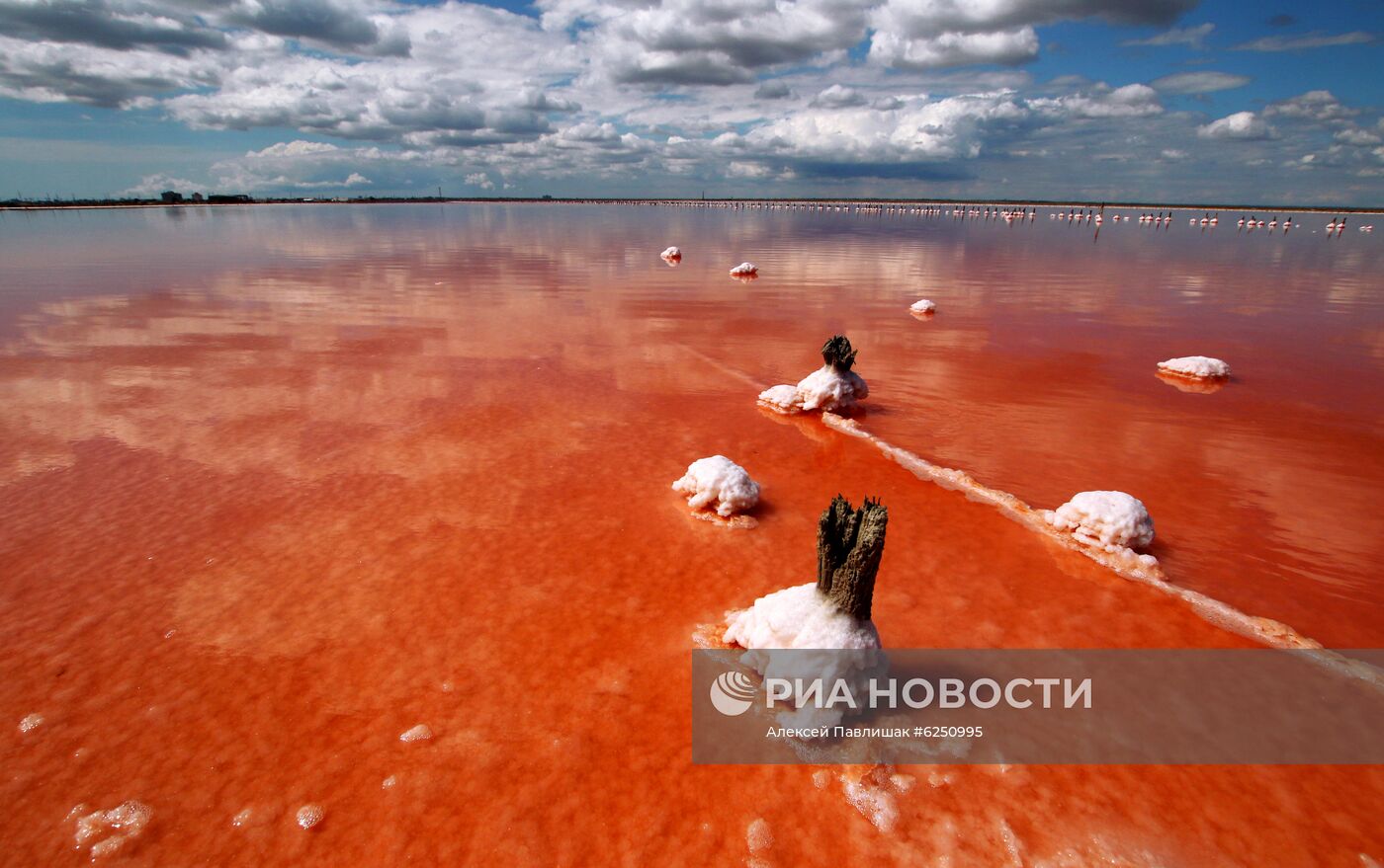 Озеро Сасык-Сиваш в Крыму