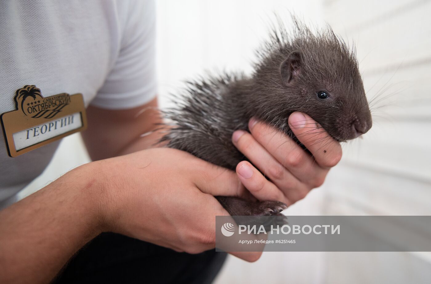 Зоопарк санатория "Октябрьский" в Сочи