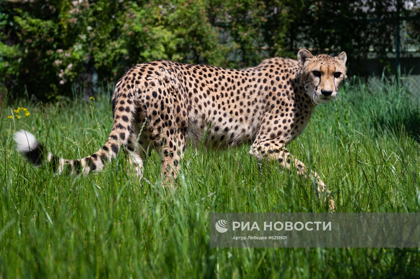 Зоопарк санатория "Октябрьский" в Сочи