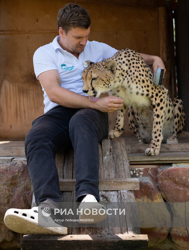 Зоопарк санатория "Октябрьский" в Сочи