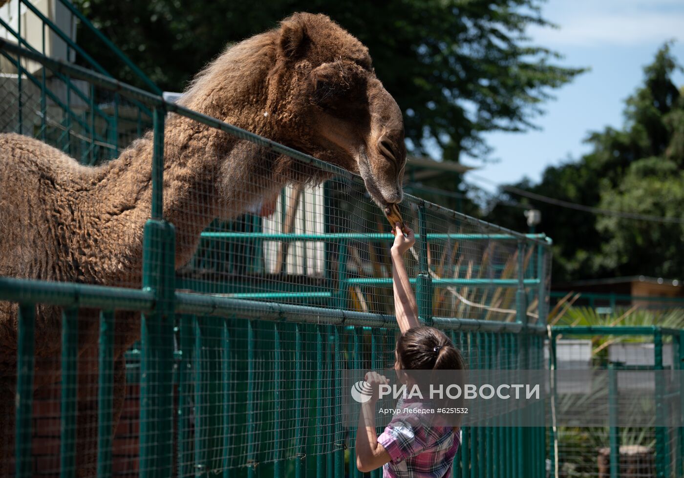 Зоопарк санатория "Октябрьский" в Сочи