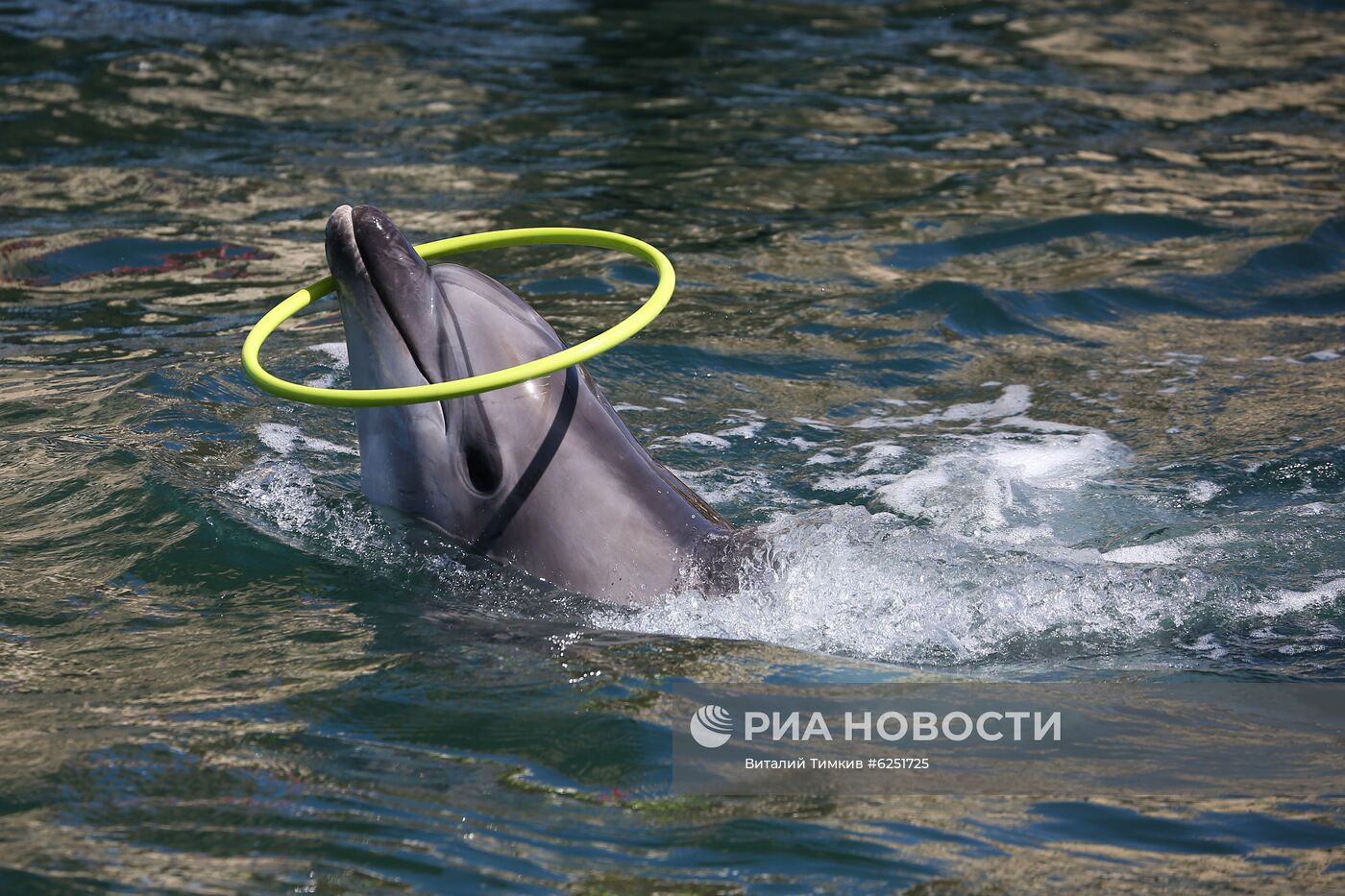 Анапский дельфинарий на Большом Утрише