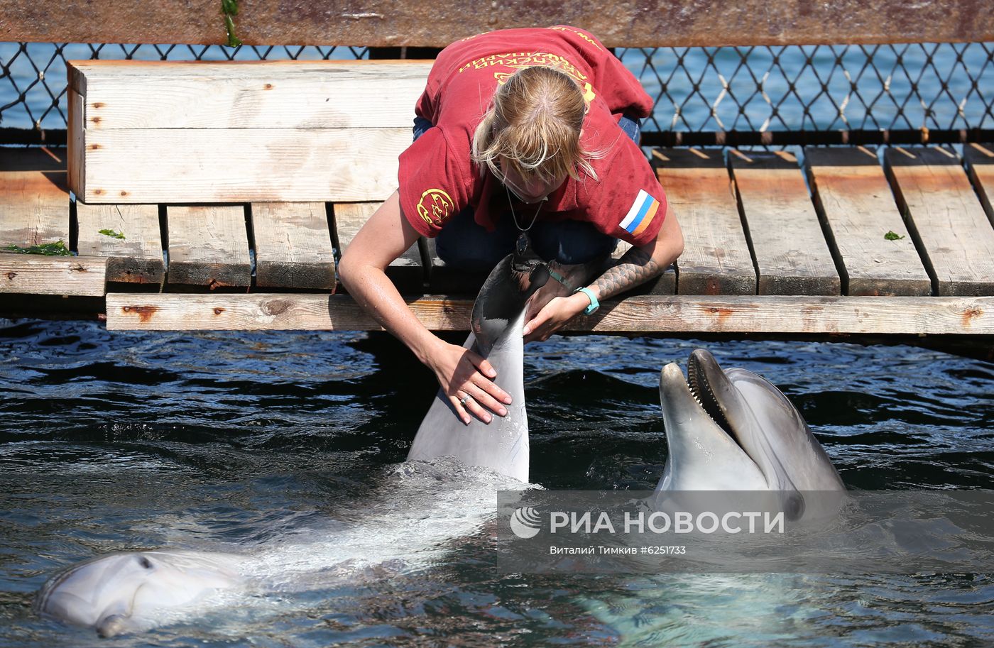 Анапский дельфинарий на Большом Утрише