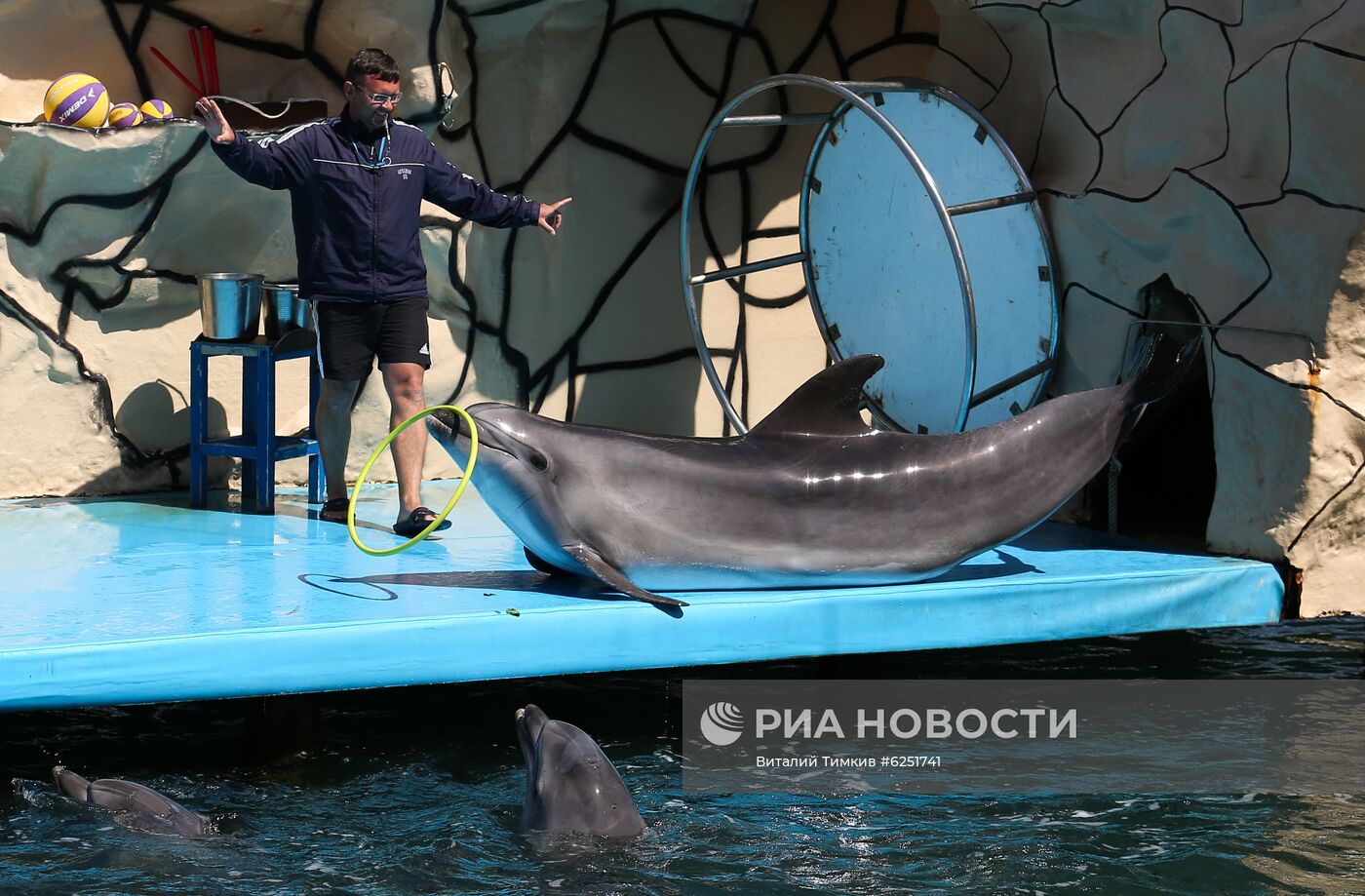 Анапский дельфинарий на Большом Утрише