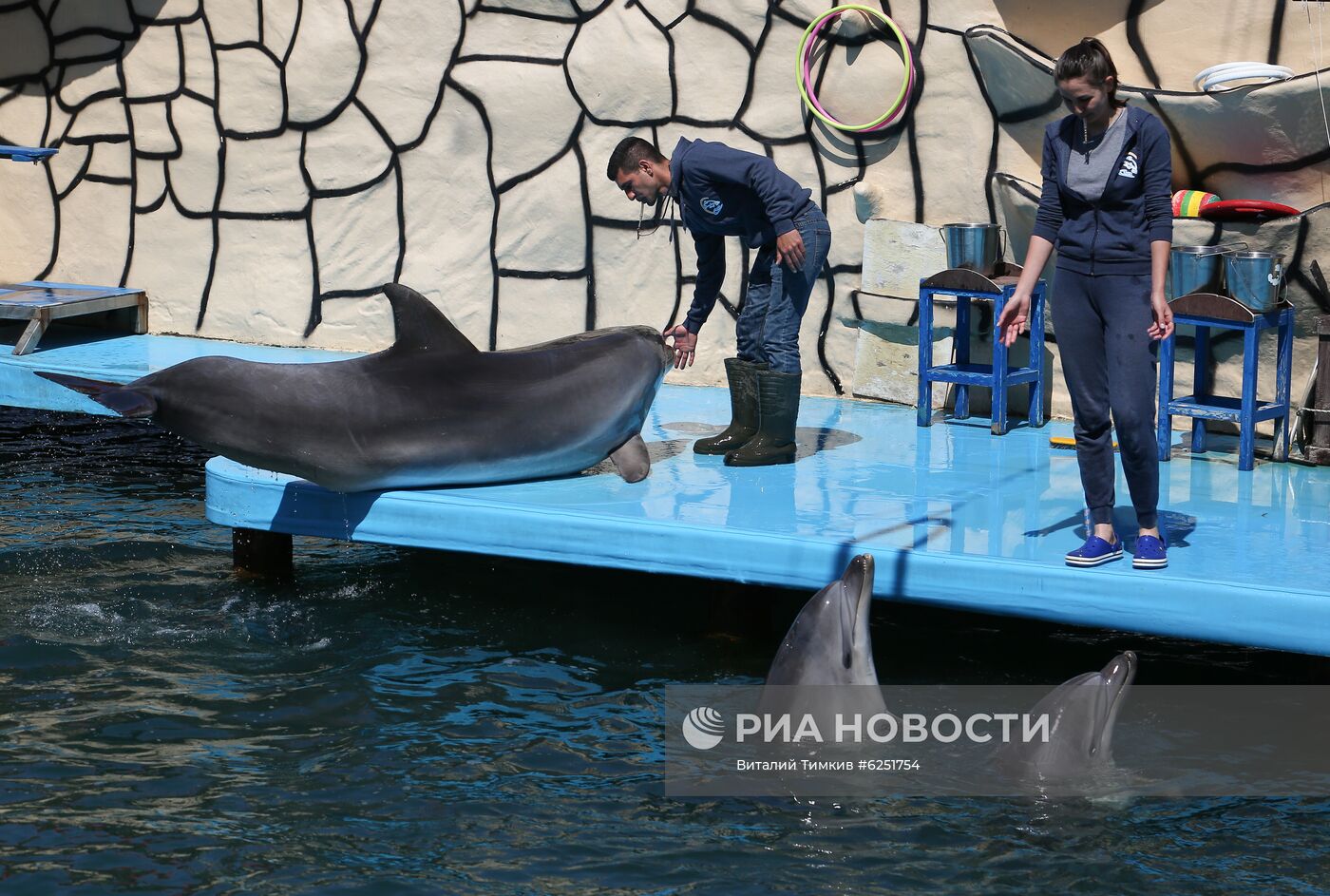 Анапский дельфинарий на Большом Утрише