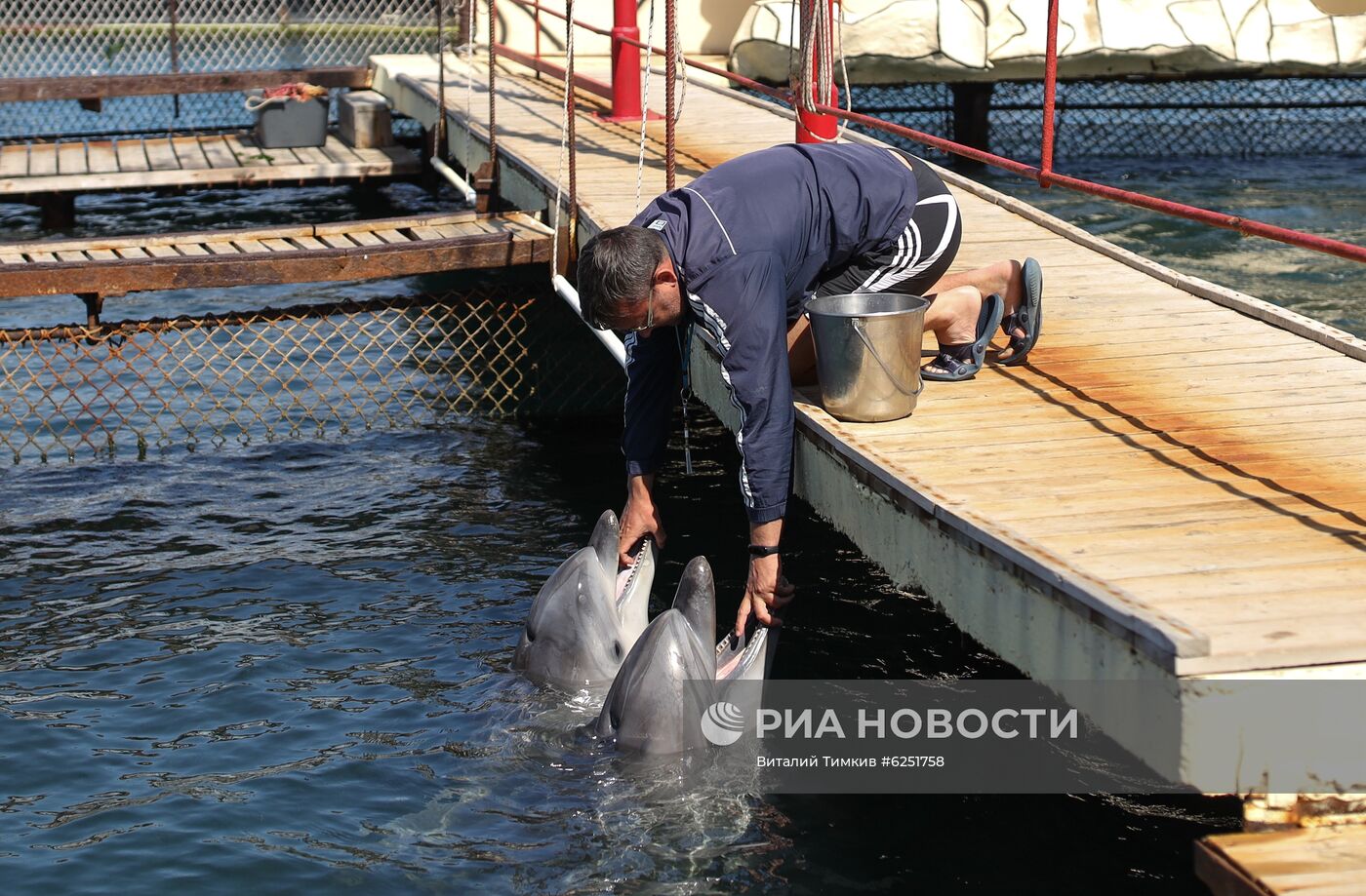 Анапский дельфинарий на Большом Утрише