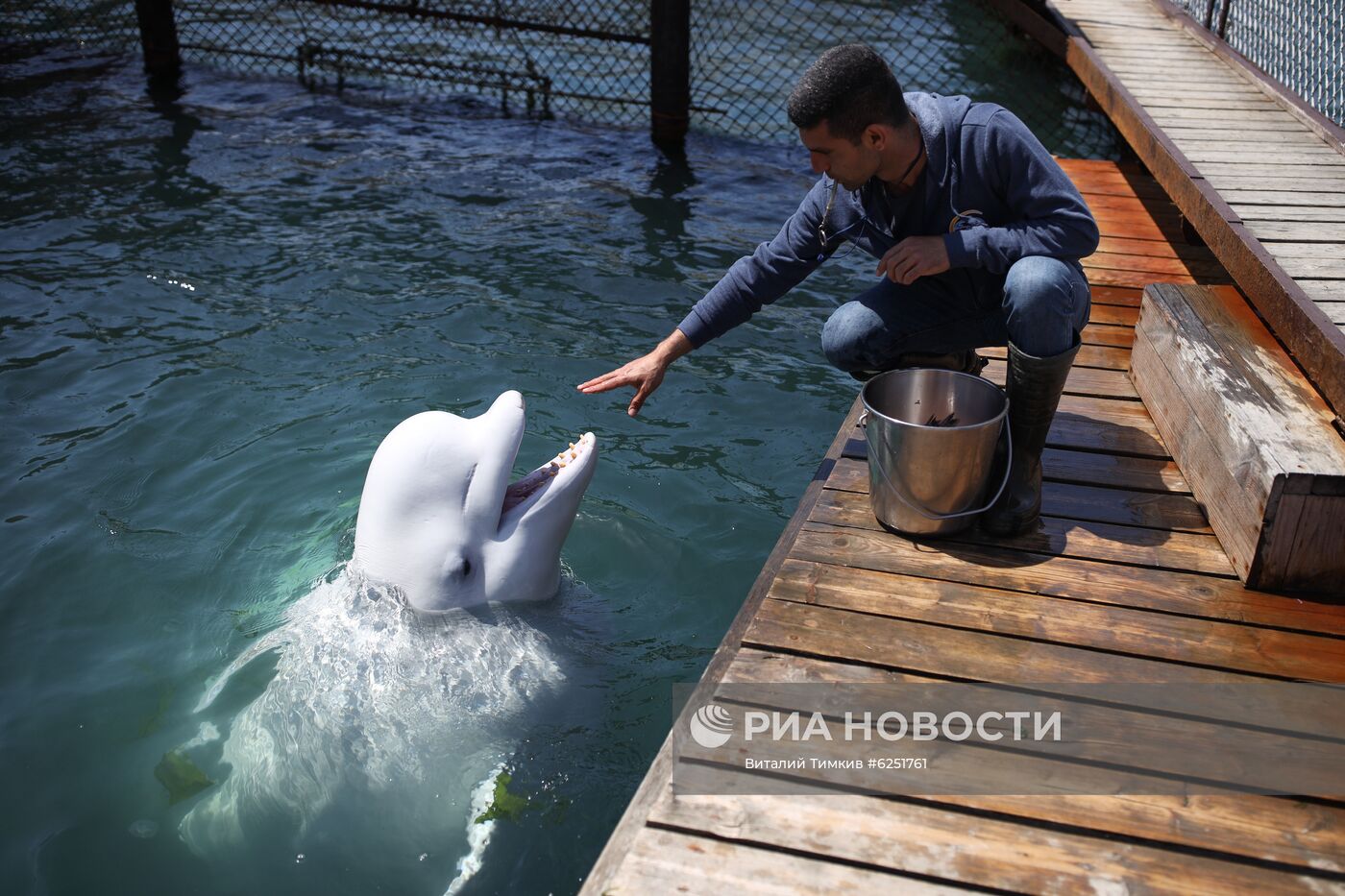 Анапский дельфинарий на Большом Утрише