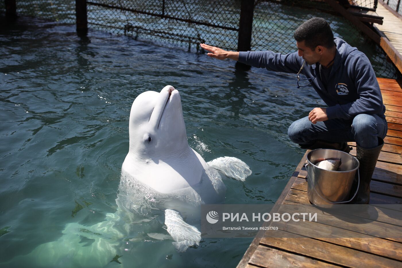 Анапский дельфинарий на Большом Утрише