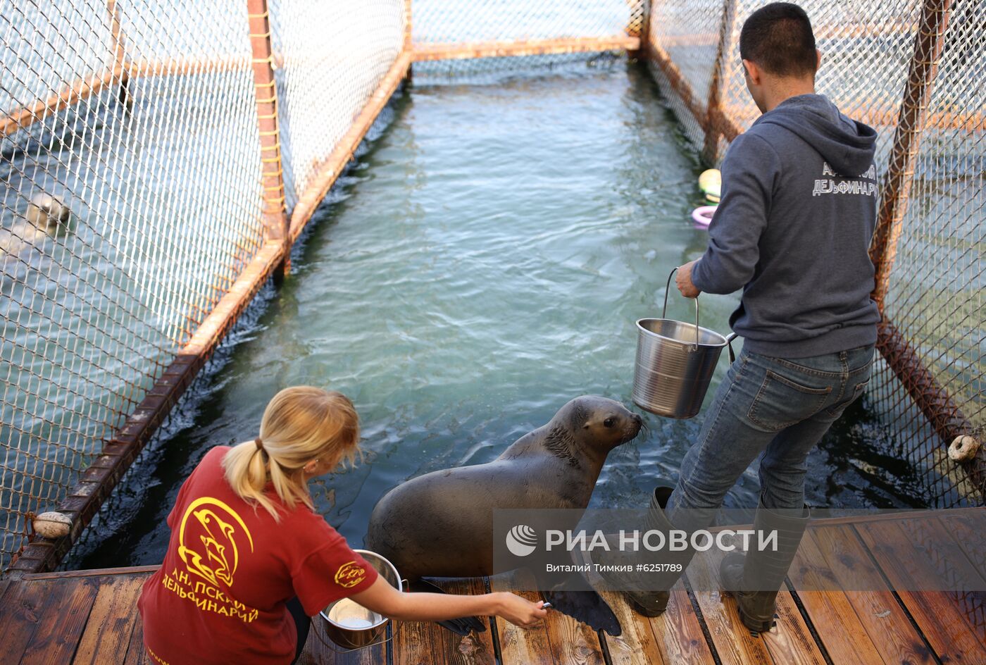 Анапский дельфинарий на Большом Утрише