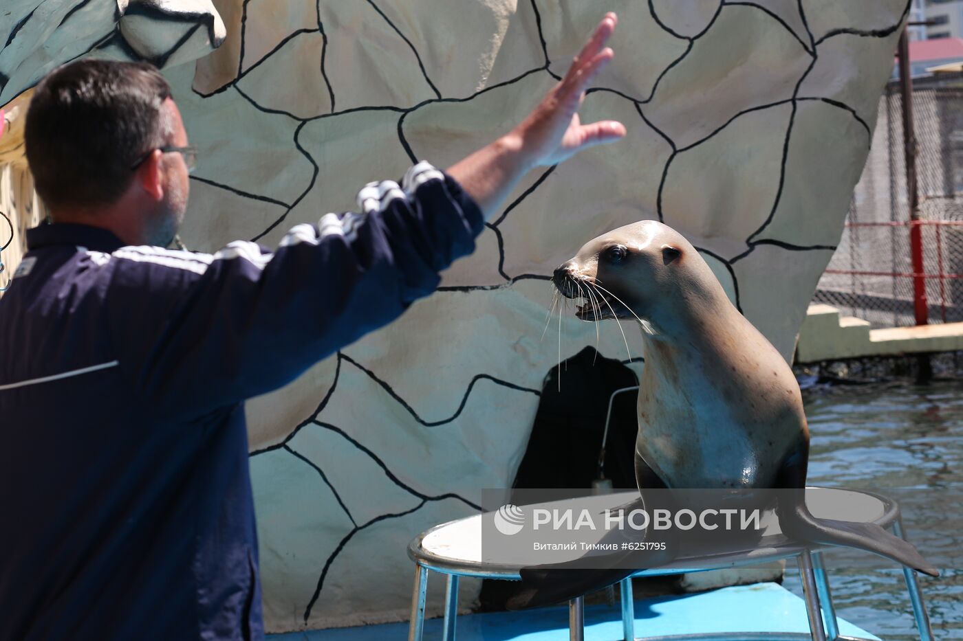 Анапский дельфинарий на Большом Утрише