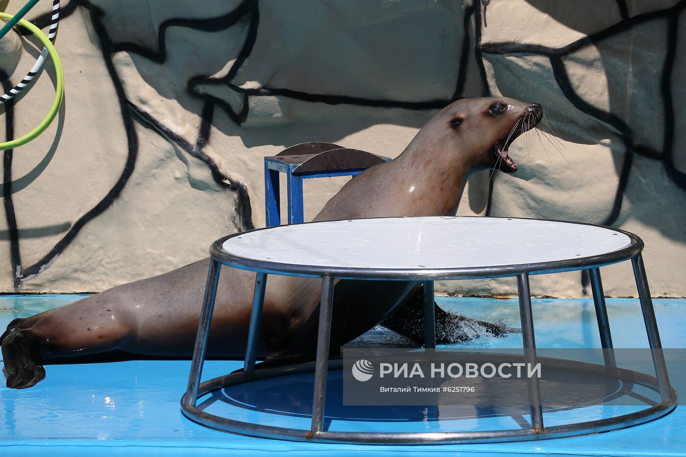 Анапский дельфинарий на Большом Утрише