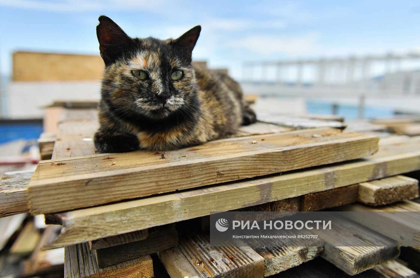 Подготовка к курортному сезону в Ялте