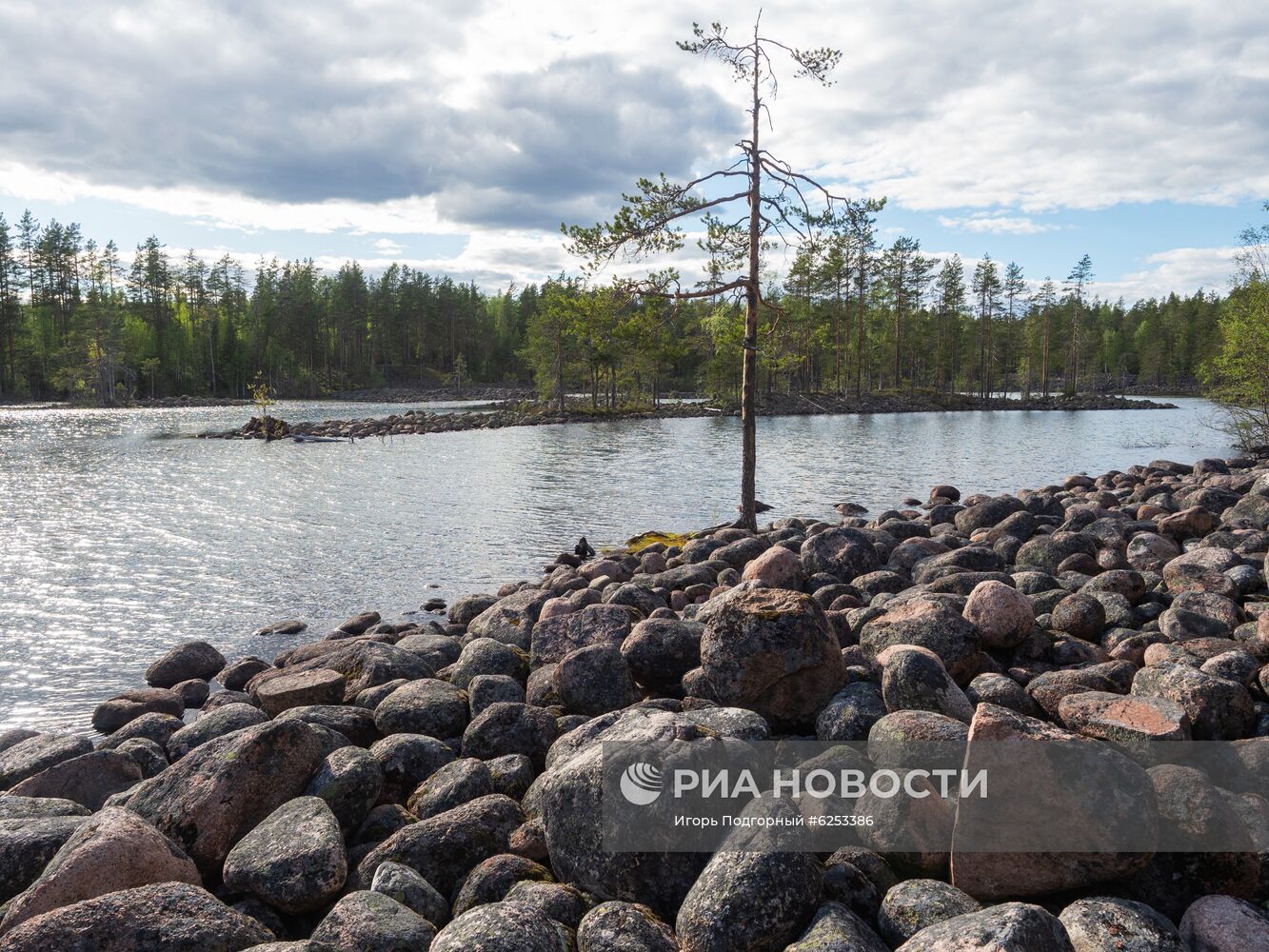 Уксинская озовая гряда в Карелии