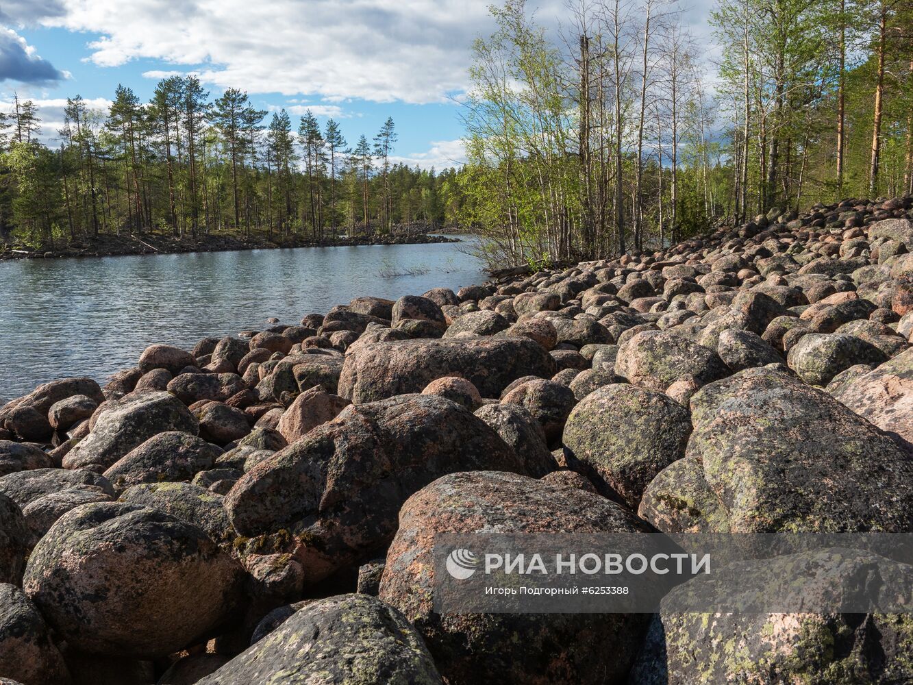 Уксинская озовая гряда в Карелии